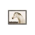 Picture of White Beauty _GroupedProduct_Rectangle_Landscape_Photography _GroupedProduct_Rectangle_Landscape_Framed_Matted_