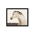 Picture of White Beauty _GroupedProduct_Rectangle_Landscape_Photography _GroupedProduct_Rectangle_Landscape_Framed_Matted_