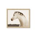 Picture of White Beauty _GroupedProduct_Rectangle_Landscape_Photography _GroupedProduct_Rectangle_Landscape_Framed_Matted_