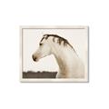 Picture of White Beauty _GroupedProduct_Rectangle_Landscape_Photography _GroupedProduct_Rectangle_Landscape_Framed_Matted_