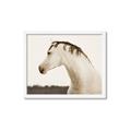 Picture of White Beauty _GroupedProduct_Rectangle_Landscape_Photography _GroupedProduct_Rectangle_Landscape_Framed_Matted_