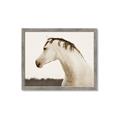 Picture of White Beauty _GroupedProduct_Rectangle_Landscape_Photography _GroupedProduct_Rectangle_Landscape_Framed_Matted_