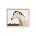 Picture of White Beauty _GroupedProduct_Rectangle_Landscape_Photography _GroupedProduct_Rectangle_Landscape_Framed_Matted_