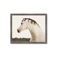 Picture of White Beauty _GroupedProduct_Rectangle_Landscape_Photography _GroupedProduct_Rectangle_Landscape_Framed_Matted_