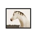 Picture of White Beauty _GroupedProduct_Rectangle_Landscape_Photography _GroupedProduct_Rectangle_Landscape_Framed_Matted_