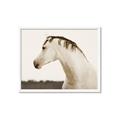 Picture of White Beauty _GroupedProduct_Rectangle_Landscape_Photography _GroupedProduct_Rectangle_Landscape_Framed_Matted_