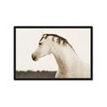 Picture of White Beauty _GroupedProduct_Rectangle_Landscape_Photography _GroupedProduct_Rectangle_Landscape_Framed_Matted_