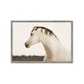Picture of White Beauty _GroupedProduct_Rectangle_Landscape_Photography _GroupedProduct_Rectangle_Landscape_Framed_Matted_