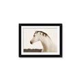 Picture of White Beauty _GroupedProduct_Rectangle_Landscape_Photography _GroupedProduct_Rectangle_Landscape_Framed_Matted_