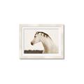 Picture of White Beauty _GroupedProduct_Rectangle_Landscape_Photography _GroupedProduct_Rectangle_Landscape_Framed_Matted_