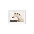 Picture of White Beauty _GroupedProduct_Rectangle_Landscape_Photography _GroupedProduct_Rectangle_Landscape_Framed_Matted_