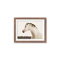 Picture of White Beauty _GroupedProduct_Rectangle_Landscape_Photography _GroupedProduct_Rectangle_Landscape_Framed_Matted_