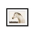 Picture of White Beauty _GroupedProduct_Rectangle_Landscape_Photography _GroupedProduct_Rectangle_Landscape_Framed_Matted_