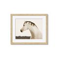 Picture of White Beauty _GroupedProduct_Rectangle_Landscape_Photography _GroupedProduct_Rectangle_Landscape_Framed_Matted_