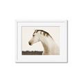 Picture of White Beauty _GroupedProduct_Rectangle_Landscape_Photography _GroupedProduct_Rectangle_Landscape_Framed_Matted_