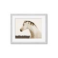 Picture of White Beauty _GroupedProduct_Rectangle_Landscape_Photography _GroupedProduct_Rectangle_Landscape_Framed_Matted_