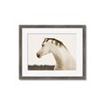 Picture of White Beauty _GroupedProduct_Rectangle_Landscape_Photography _GroupedProduct_Rectangle_Landscape_Framed_Matted_
