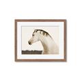 Picture of White Beauty _GroupedProduct_Rectangle_Landscape_Photography _GroupedProduct_Rectangle_Landscape_Framed_Matted_