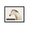 Picture of White Beauty _GroupedProduct_Rectangle_Landscape_Photography _GroupedProduct_Rectangle_Landscape_Framed_Matted_