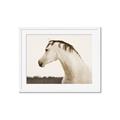 Picture of White Beauty _GroupedProduct_Rectangle_Landscape_Photography _GroupedProduct_Rectangle_Landscape_Framed_Matted_