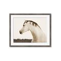 Picture of White Beauty _GroupedProduct_Rectangle_Landscape_Photography _GroupedProduct_Rectangle_Landscape_Framed_Matted_