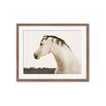 Picture of White Beauty _GroupedProduct_Rectangle_Landscape_Photography _GroupedProduct_Rectangle_Landscape_Framed_Matted_