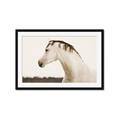 Picture of White Beauty _GroupedProduct_Rectangle_Landscape_Photography _GroupedProduct_Rectangle_Landscape_Framed_Matted_