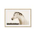 Picture of White Beauty _GroupedProduct_Rectangle_Landscape_Photography _GroupedProduct_Rectangle_Landscape_Framed_Matted_