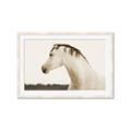 Picture of White Beauty _GroupedProduct_Rectangle_Landscape_Photography _GroupedProduct_Rectangle_Landscape_Framed_Matted_