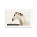 Picture of White Beauty _GroupedProduct_Rectangle_Landscape_Photography _GroupedProduct_Rectangle_Landscape_Framed_Matted_