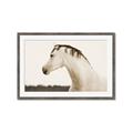 Picture of White Beauty _GroupedProduct_Rectangle_Landscape_Photography _GroupedProduct_Rectangle_Landscape_Framed_Matted_