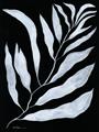 Picture of Fern Leaves I _GroupedProduct_Rectangle_Portrait_Unframed_Print_Only_
