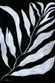 Picture of Fern Leaves I _GroupedProduct_Rectangle_Portrait_Unframed_Print_Only_