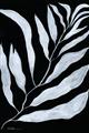 Picture of Fern Leaves I _GroupedProduct_Rectangle_Portrait_Unframed_Print_Only_
