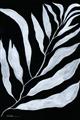Picture of Fern Leaves I _GroupedProduct_Rectangle_Portrait_Unframed_Print_Only_