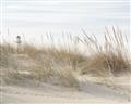 Picture of Seaside Grass _GroupedProduct_Rectangle_Landscape_Unframed_Print_Only_