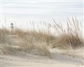 Picture of Seaside Grass _GroupedProduct_Rectangle_Landscape_Unframed_Print_Only_