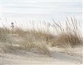 Picture of Seaside Grass _GroupedProduct_Rectangle_Landscape_Unframed_Print_Only_