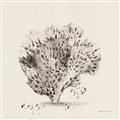 Picture of Coral Sketch II _GroupedProduct_Square_Unframed_Print_Only_