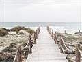 Picture of Sea Bridge To The Beach _GroupedProduct_Rectangle_Landscape_Photography _GroupedProduct_Rectangle_Landscape_Unframed_Print_Only_