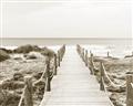 Picture of Sea Bridge To The Beach _GroupedProduct_Rectangle_Landscape_Photography _GroupedProduct_Rectangle_Landscape_Unframed_Print_Only_