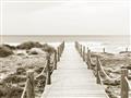 Picture of Sea Bridge To The Beach _GroupedProduct_Rectangle_Landscape_Photography _GroupedProduct_Rectangle_Landscape_Unframed_Print_Only_