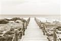 Picture of Sea Bridge To The Beach _GroupedProduct_Rectangle_Landscape_Photography _GroupedProduct_Rectangle_Landscape_Unframed_Print_Only_