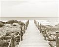Picture of Sea Bridge To The Beach _GroupedProduct_Rectangle_Landscape_Photography _GroupedProduct_Rectangle_Landscape_Unframed_Print_Only_