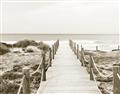 Picture of Sea Bridge To The Beach _GroupedProduct_Rectangle_Landscape_Photography _GroupedProduct_Rectangle_Landscape_Unframed_Print_Only_