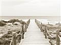 Picture of Sea Bridge To The Beach _GroupedProduct_Rectangle_Landscape_Photography _GroupedProduct_Rectangle_Landscape_Unframed_Print_Only_