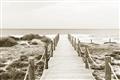 Picture of Sea Bridge To The Beach _GroupedProduct_Rectangle_Landscape_Photography _GroupedProduct_Rectangle_Landscape_Unframed_Print_Only_