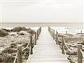 Picture of Sea Bridge To The Beach _GroupedProduct_Rectangle_Landscape_Photography _GroupedProduct_Rectangle_Landscape_Unframed_Print_Only_