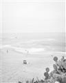 Picture of Laguna beach in California _GroupedProduct_Rectangle_Portrait_Photography _GroupedProduct_Rectangle_Portrait_Unframed_Print_Only_