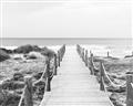 Picture of Sea Bridge To The Beach _GroupedProduct_Rectangle_Landscape_Photography _GroupedProduct_Rectangle_Landscape_Unframed_Print_Only_